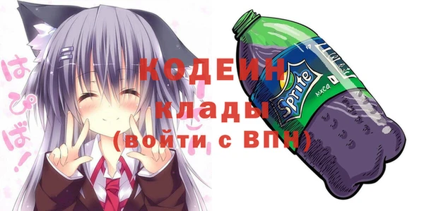 сатива Покачи